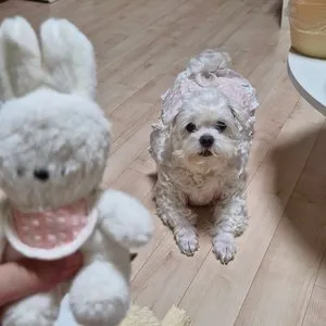 베스트 후기 이미지