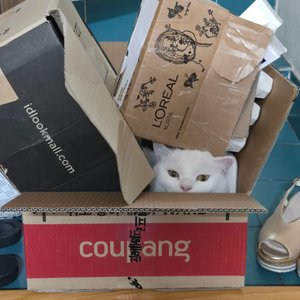 베스트 후기 이미지