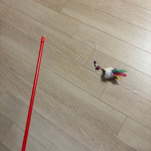 베스트 후기 이미지
