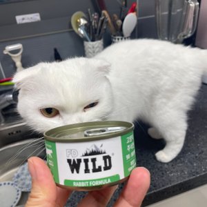 베스트 후기 이미지