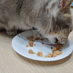 베스트 후기 이미지