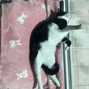 베스트 후기 이미지