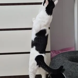 베스트 후기 이미지