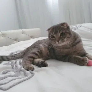 베스트 후기 이미지