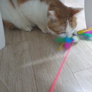 베스트 후기 이미지