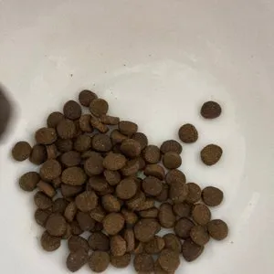 베스트 후기 이미지