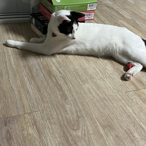 베스트 후기 이미지