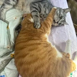 베스트 후기 이미지