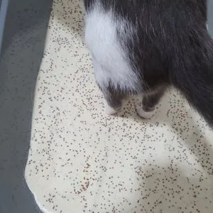 베스트 후기 이미지