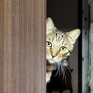 베스트 후기 이미지