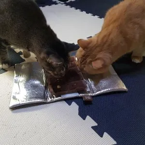 베스트 후기 이미지