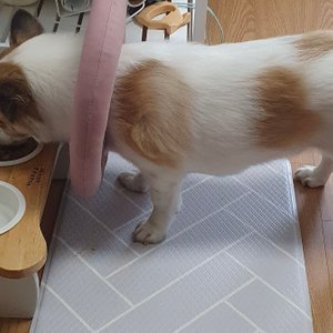 베스트 후기 이미지