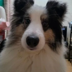 베스트 후기 이미지