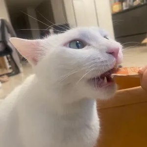 베스트 후기 이미지