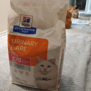 베스트 후기 이미지