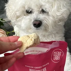 베스트 후기 이미지