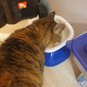 베스트 후기 이미지