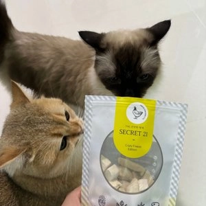 시크릿21 스팀동결건조 닭가슴살 60g 베스트 후기 이미지