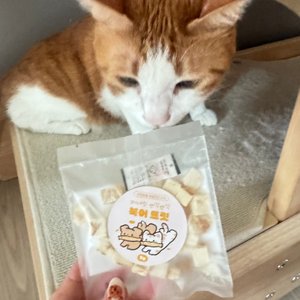 베스트 후기 이미지