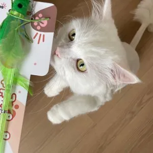 베스트 후기 이미지