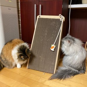 베스트 후기 이미지