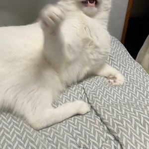 베스트 후기 이미지