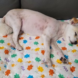 베스트 후기 이미지