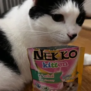 베스트 후기 이미지