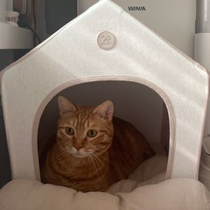 베스트 후기 이미지