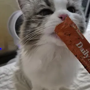 베스트 후기 이미지