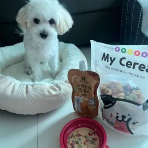 베스트 후기 이미지