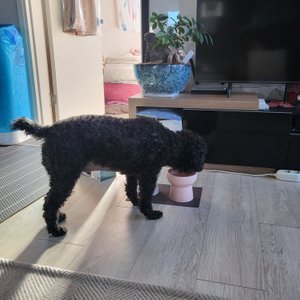 베스트 후기 이미지
