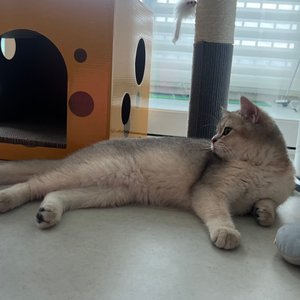 베스트 후기 이미지