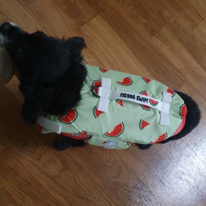 베스트 후기 이미지