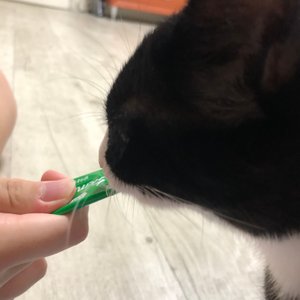 베스트 후기 이미지