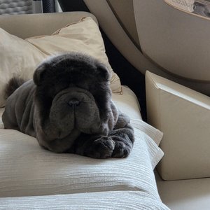 베스트 후기 이미지