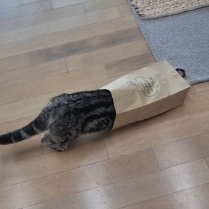 베스트 후기 이미지