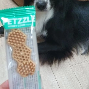 [체험단] 닥터페트라 펫즐 허니콤 오리지널 1p 베스트 후기 이미지