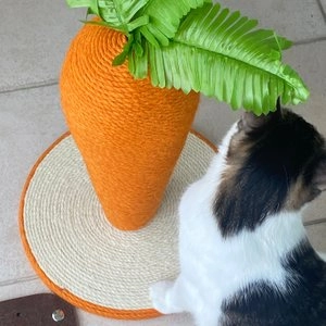 [무료배송] 가또나인 당근 스크래쳐 M/L 베스트 후기 이미지