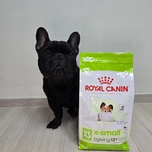 베스트 후기 이미지