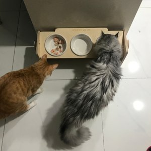 베스트 후기 이미지