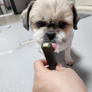 베스트 후기 이미지