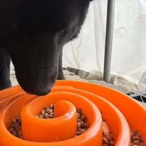 베스트 후기 이미지