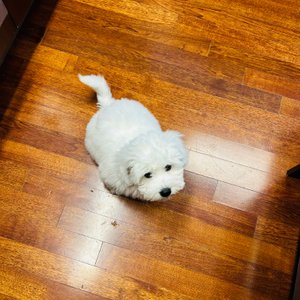 베스트 후기 이미지