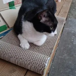 베스트 후기 이미지