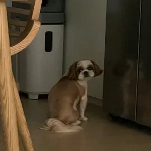 베스트 후기 이미지