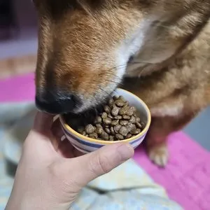 베스트 후기 이미지