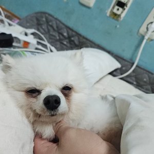 베스트 후기 이미지