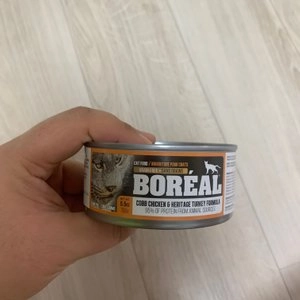 [웰컴딜] 보레알 캣 치킨&칠면조 캔 156g 베스트 후기 이미지