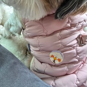 베스트 후기 이미지